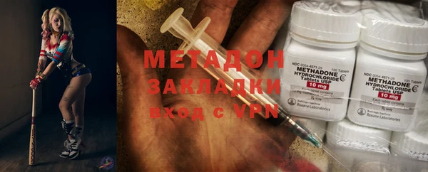 прущие грибы Михайлов