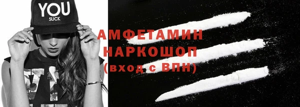 прущие грибы Михайлов
