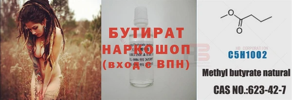 прущие грибы Михайлов