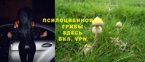 мескалин Михайловск