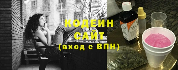 прущие грибы Михайлов