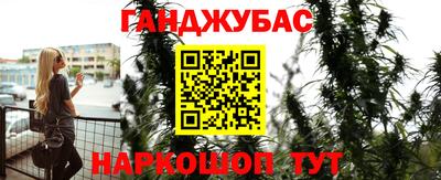 гидра Заволжье