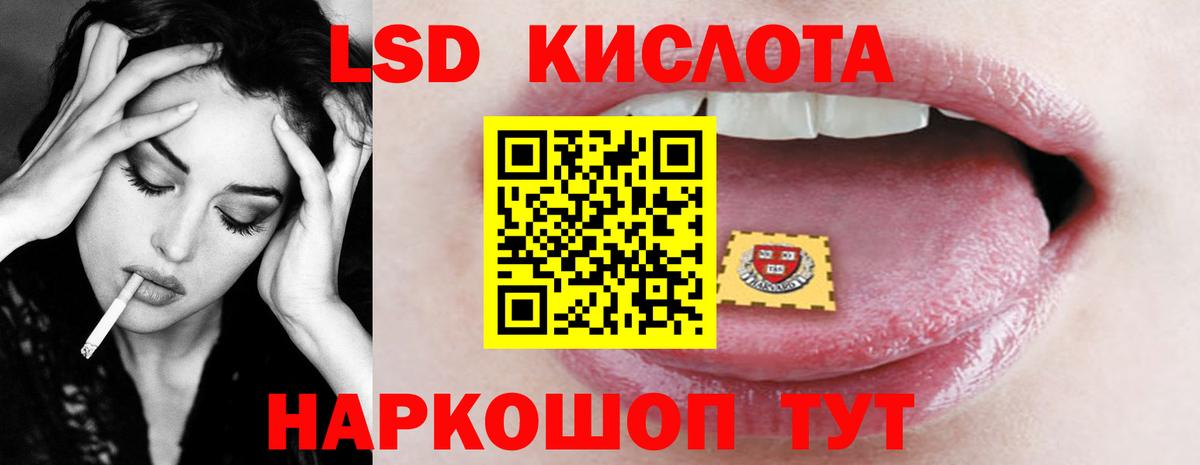  COCAIN Муравленко