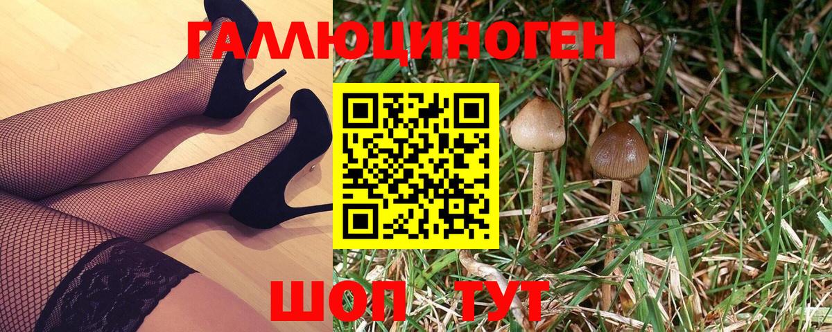 Муравленко  Галлюциногенные грибы мухоморы  Вход с VPN 