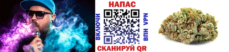 Канабис гибрид Муравленко